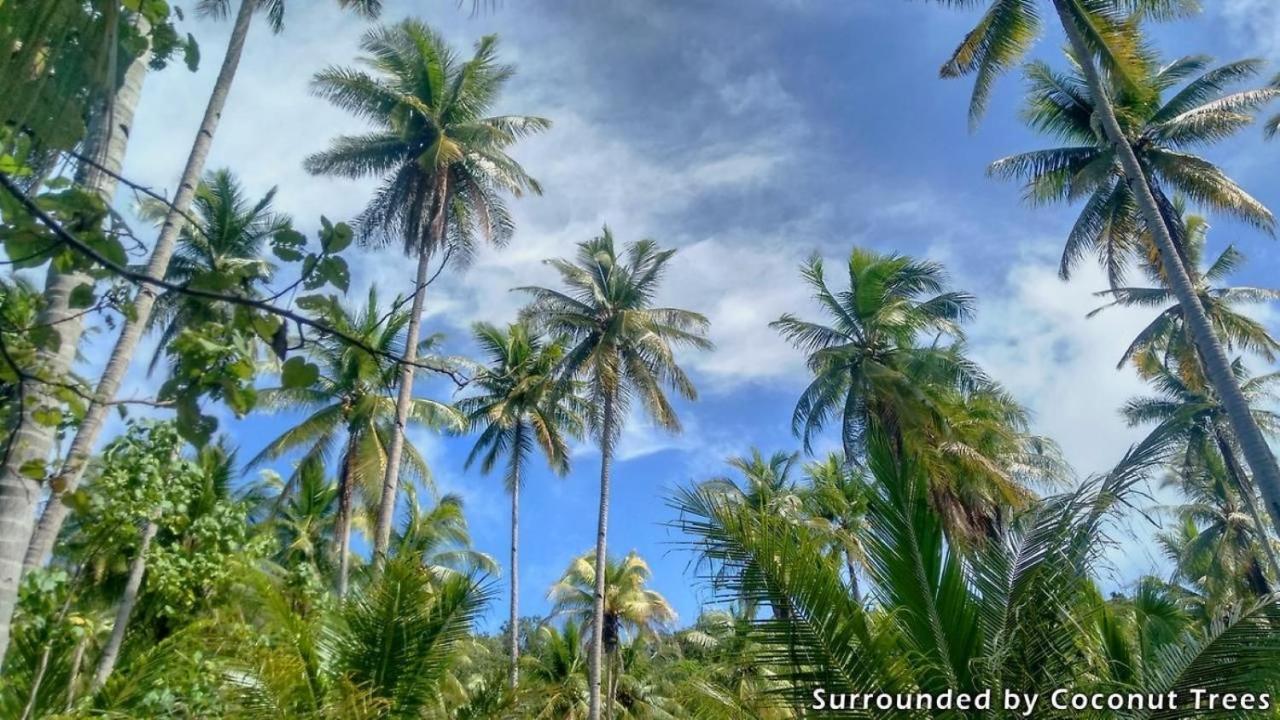 Mansuar Raja Ampat Bungalows Kri Exterior photo